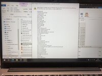 IMG_3138.jpeg