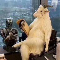 杨先生丶
